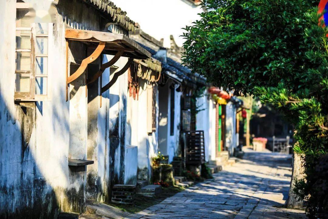 最后生还者2
